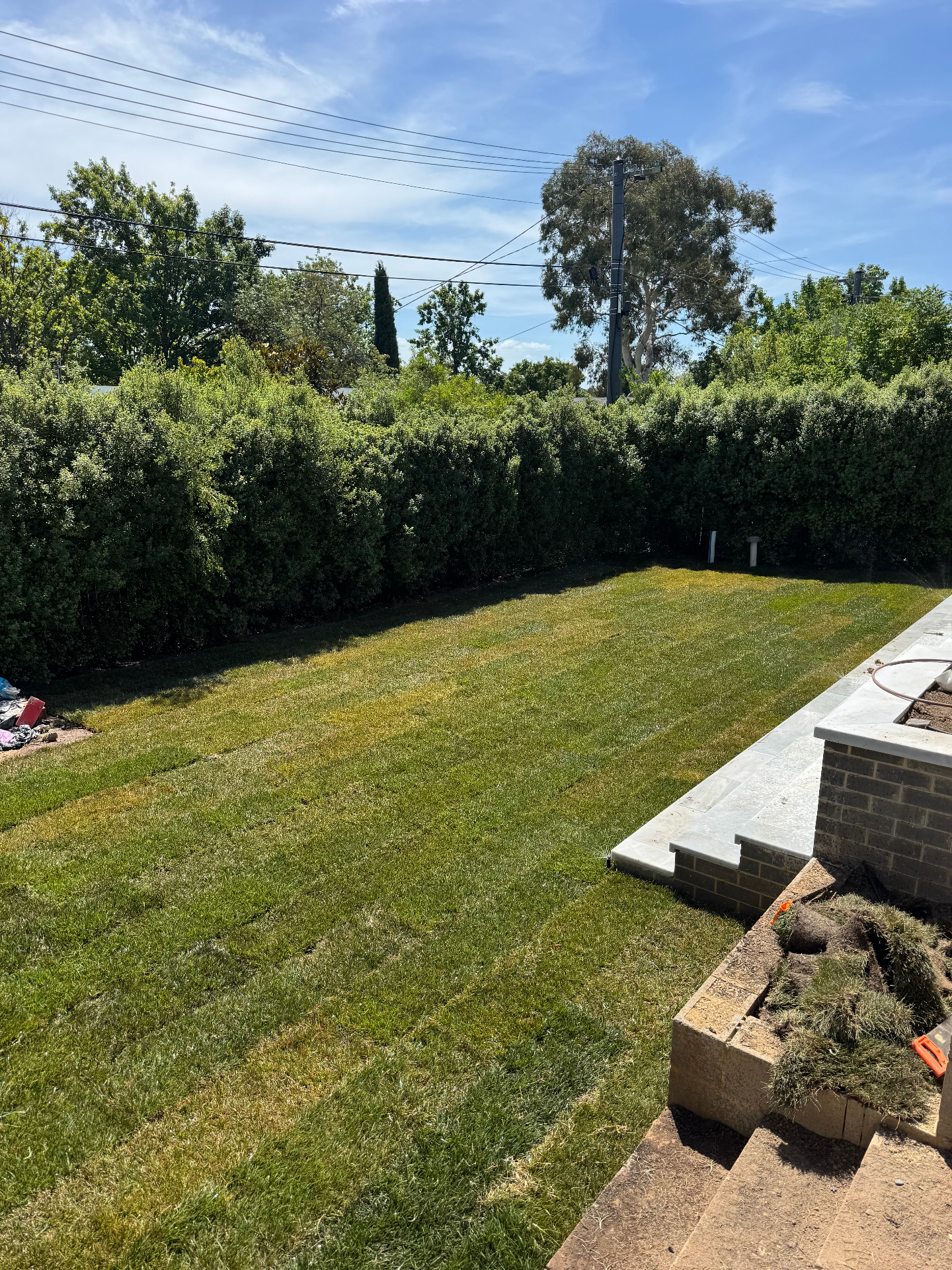 Softscaping & Turf