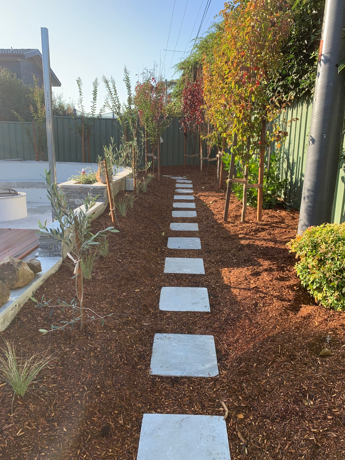 Paved pathway with softscaped garden borders